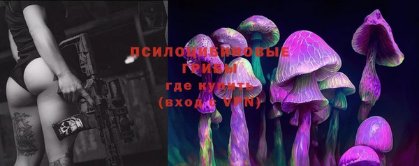 бошки Верея