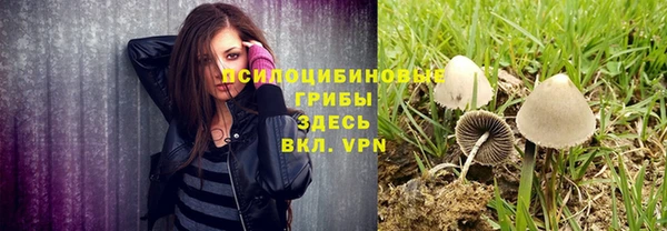 бошки Верея
