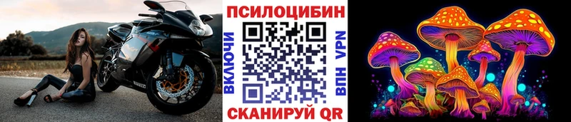 Галлюциногенные грибы MAGIC MUSHROOMS  Купить закладки  Барыш 